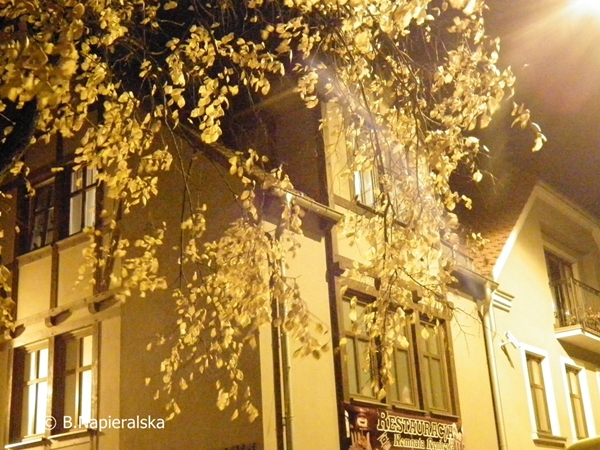 Miedzychód  wiosna